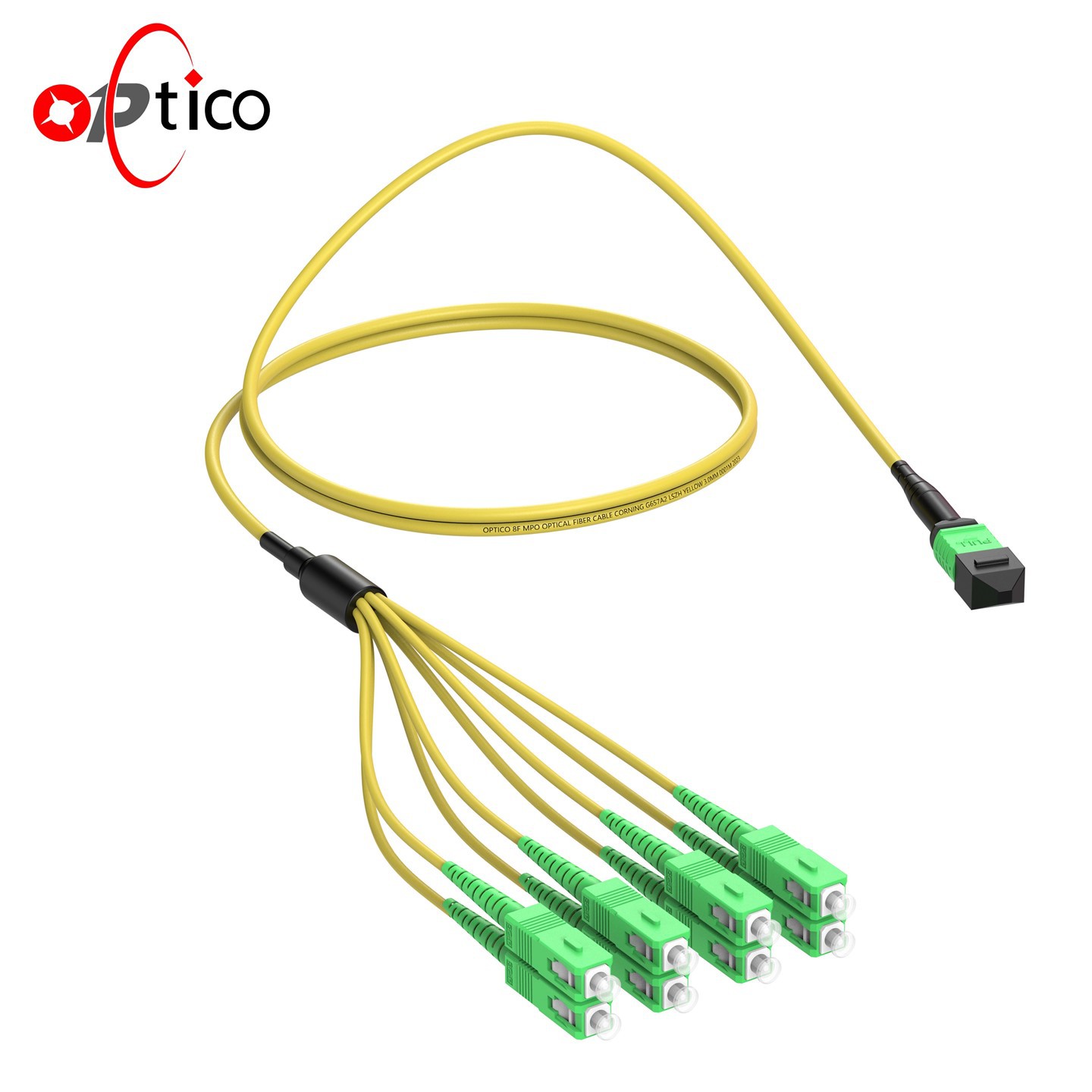 8F MTP MPO til SC APC Breakout Cable
