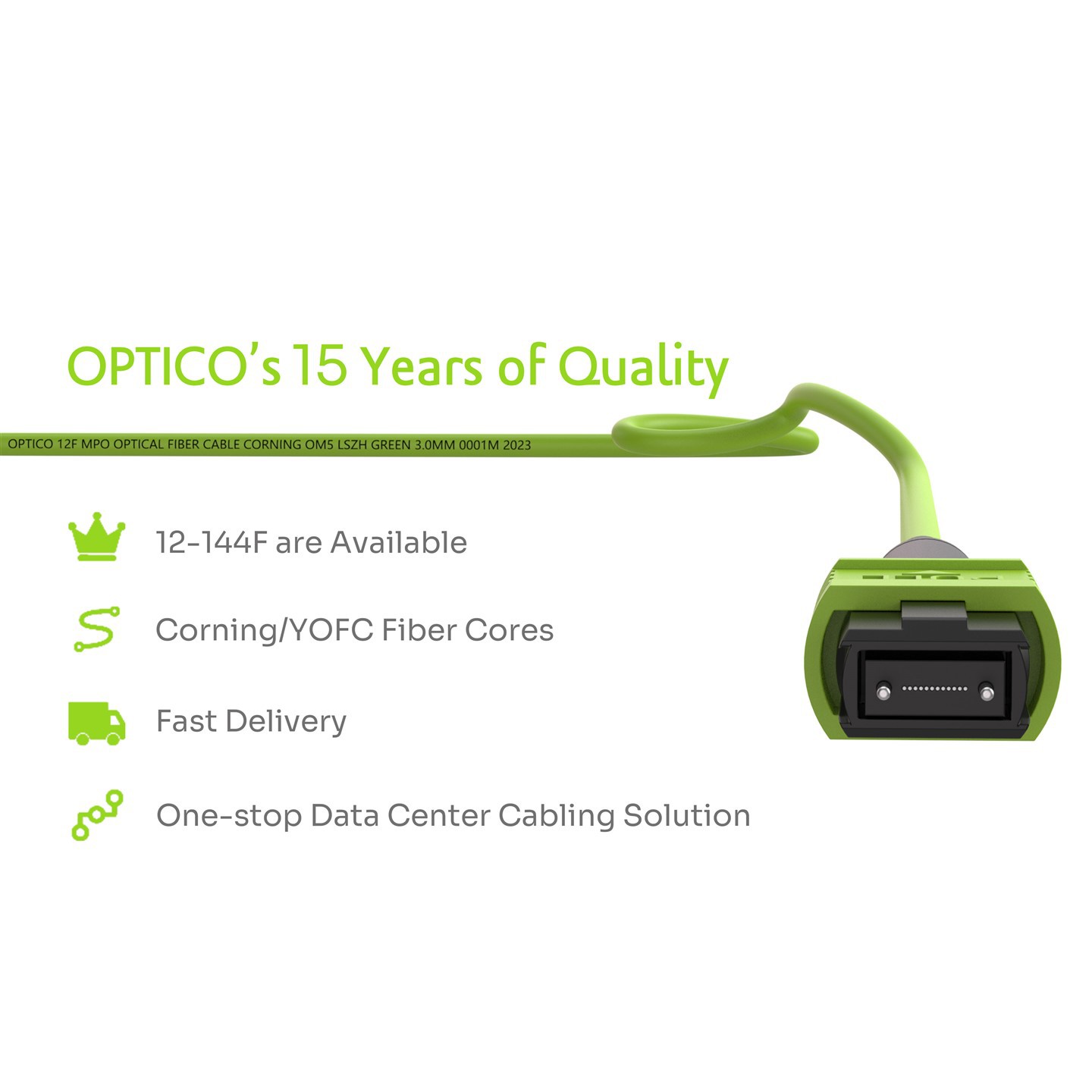 MPO LC Fanout Fiber Optic Cable 12 Cores MPO LC Fanout Fiber Optic Cable 12 Cores